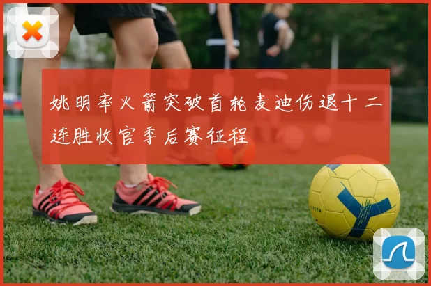 姚明率火箭突破首轮麦迪伤退十二连胜收官季后赛征程