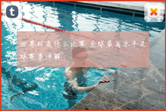 世界杯是什么比赛 全球最高水平足球赛事详解