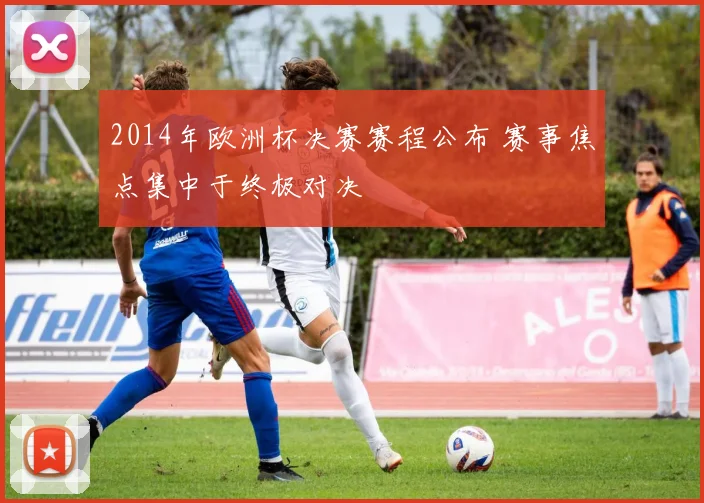 2014年欧洲杯决赛赛程公布 赛事焦点集中于终极对决
